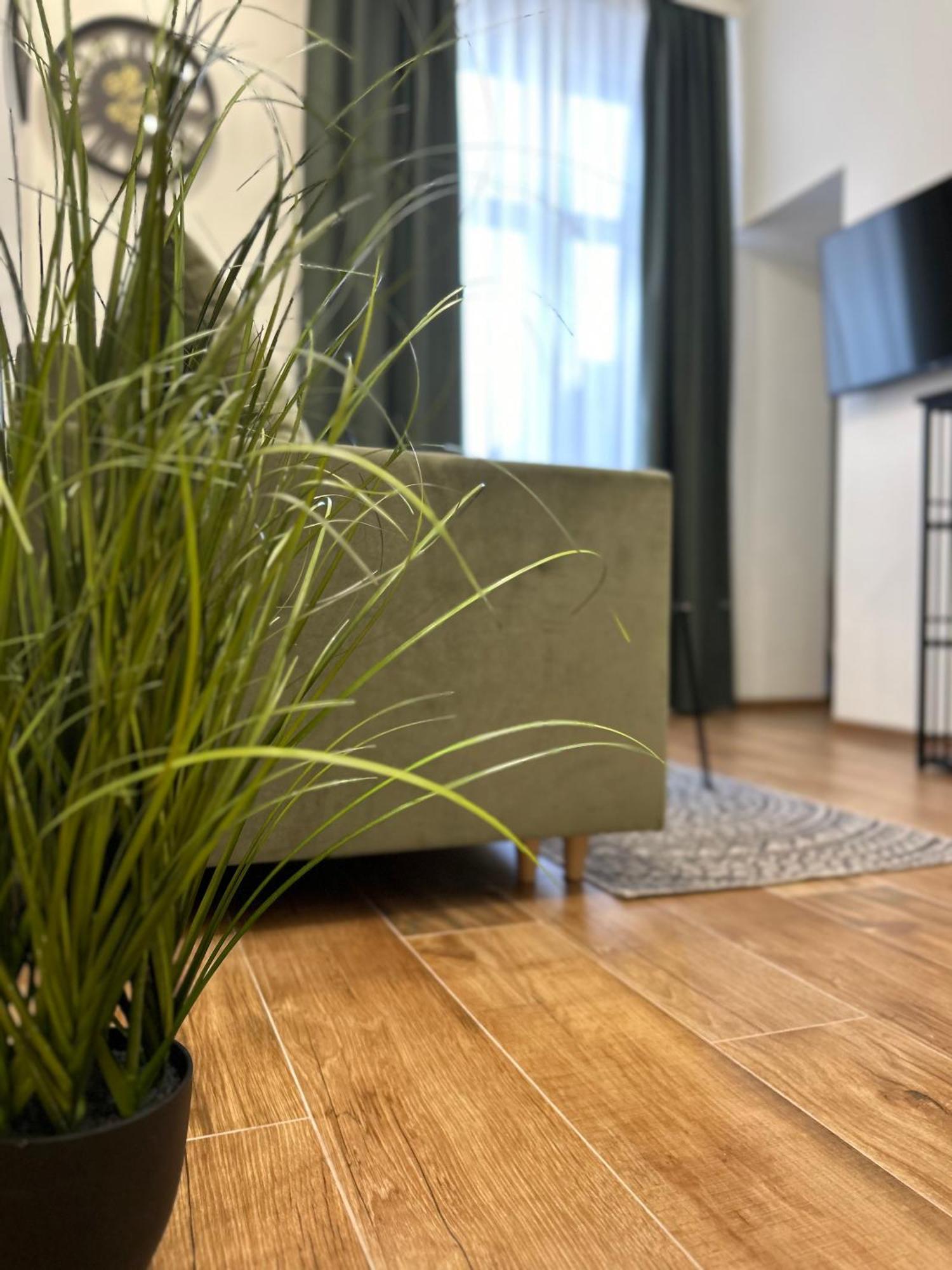 Apartament Krasinskiego Přemyšl Exteriér fotografie